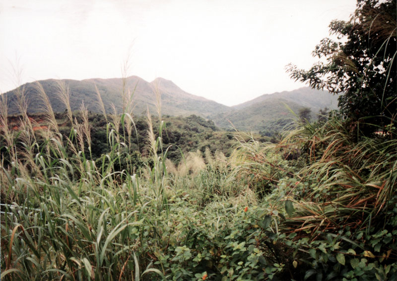 Image 2 of 21  -  141 kB